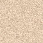 Линолеум Profi Premium коммерческий NEVADA 8